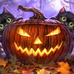 Cats behind Halloween pumpkin Diamond Painting