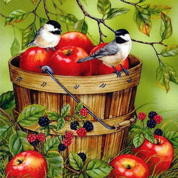 Birds Diamond Painting Kit