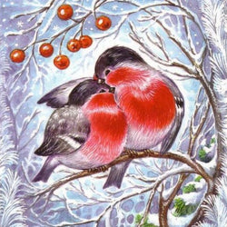 Birds 3D Painting Kit