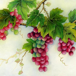 Grapes Diamond Painting Kit