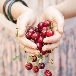 Cherries DIY Diamond Painting Kit