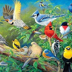 5D diamond painting kits