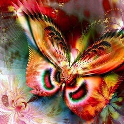 Butterfly 3D Full Drill